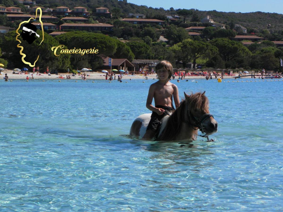 Residence Cala Sultana N62 - 4 Pers Avec Piscine Chauffee- Acces Prive A La Plage De Santa Giulia Porto-Vecchio  Luaran gambar